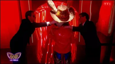 Et enfin, le grand gagnant enlevait son masque le samedi 27 juin 2026. Qui &eacute;tait derri&egrave;re le costume de l'&acirc;ne ?