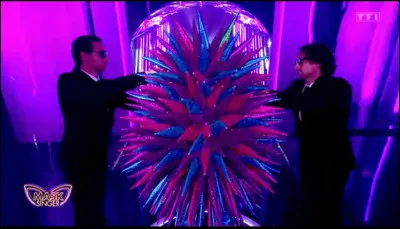 Une premi&egrave;re star internationale d&eacute;barque sur le plateau de "Mask Singer". Qui &eacute;tait derri&egrave;re le costume du h&eacute;risson et a &eacute;t&eacute; d&eacute;masqu&eacute; le vendredi 1er mai 2026 ?