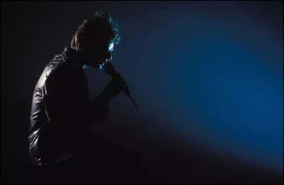Quel chanteur est l&rsquo;interpr&egrave;te du titre ''J&rsquo;ai longtemps contempl&eacute;'' ?