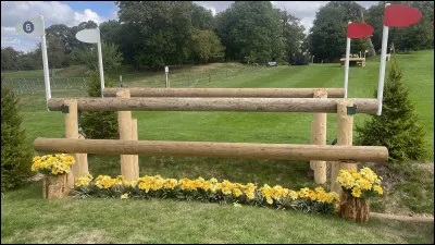 Quel est cet obstacle ?