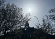 Quiz Savez-vous vous rep�rer � Pairi Daiza ?