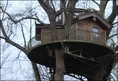 Dans quel monde &ecirc;tes-vous si en levant les yeux, vous apercevez cette myst&eacute;rieuse cabane suspendue ?