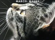 Quiz 13 questions et 13 r�ponses