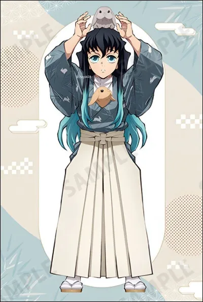 Ensuite qui est-il ?