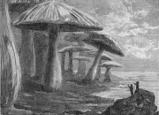 Quiz Voyages extraordinaires avec Jules Verne (4/6)