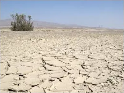 Le d&eacute;sert du Karakoum s'&eacute;tend sur deux pays : lesquels ?