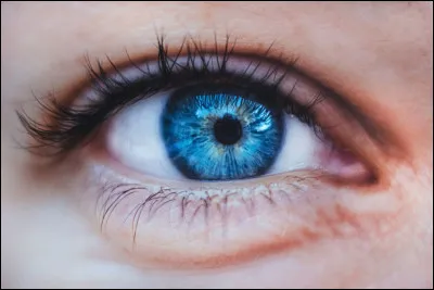 Nous passons 20% de notre journ&eacute;e &agrave; cligner des yeux...