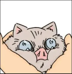 Pourquoi Inosuke porte-t-il un masque de sanglier ?