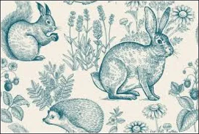 De quel animal le tangue a-t-il l'apparence ?