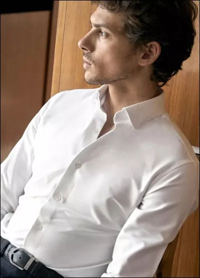 L'animal ayant le plus de dents, c'est...