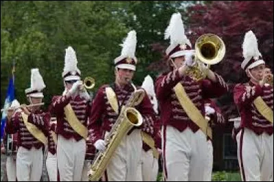 Quel mot en F d&eacute;signe un instrument de musique &agrave; vent, souvent en m&eacute;tal, utilis&eacute; dans les orchestres et les fanfares ?