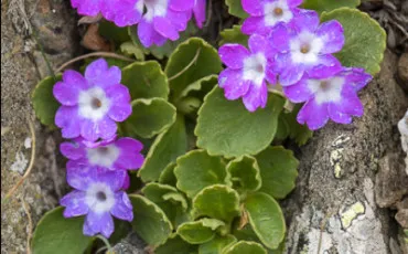 Quiz Notre plan�te