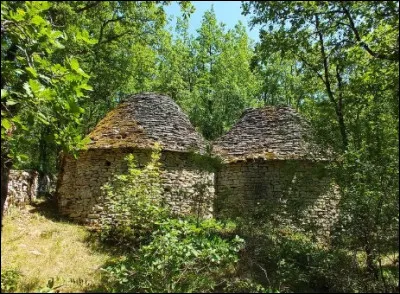 Quelles constructions, en pierres s&egrave;ches, servaient d'abris aux bergers ?