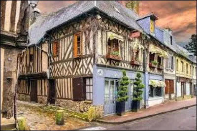 Aux portes du Pays d'Auge, le long d'Orbiquet, cette petite ville m&eacute;di&eacute;vale poss&egrave;de un beau patrimoine normand. Elle est le berceau de la fromagerie Lanquetot. C'est...