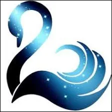 De qui fais-tu partie comme organisation ?