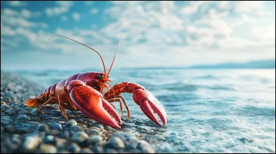 Avant de devenir adulte, le homard conna&icirc;t plusieurs mues durant lesquelles il perd sa carapace. Que perd-il en m&ecirc;me temps ?