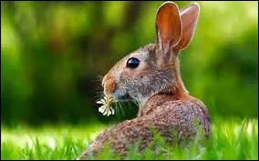 Avec l'arriv&eacute;e du printemps les li&egrave;vres bouquinent ! C'est &agrave; dire...