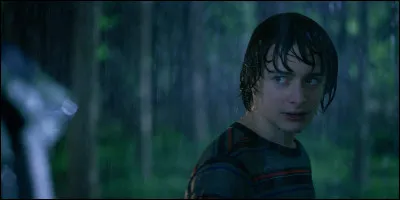 Quel est le r&ocirc;le de Will dans D&D ?