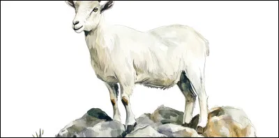 En argot, quel nom donne-t-on &agrave; l'hiver ?