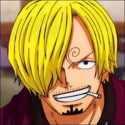 Quel est le r&ocirc;le de Sanji dans l'&eacute;quipage de Luffy ?