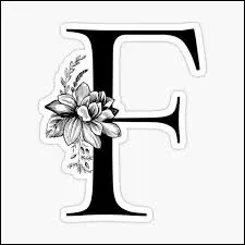 Qu'est-ce que la focaccia ?