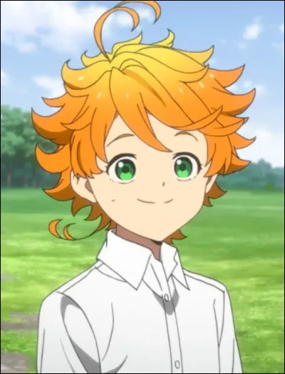 Et pour finir, tu as les cheveux...