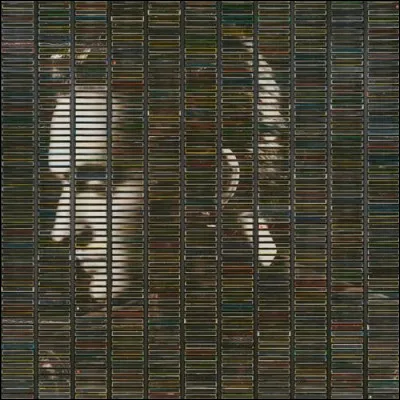 L'album de Stephan Eicher sorti en novembre 2025 est...