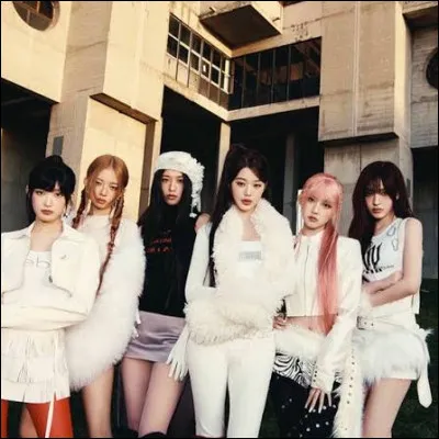 Quel est ton animal pr&eacute;f&eacute;r&eacute; ?