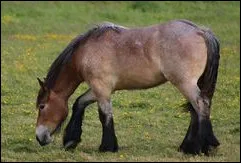 Et celle-l&agrave; ?