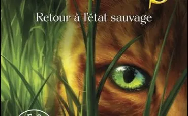 Quiz Litt�rature, po�sie