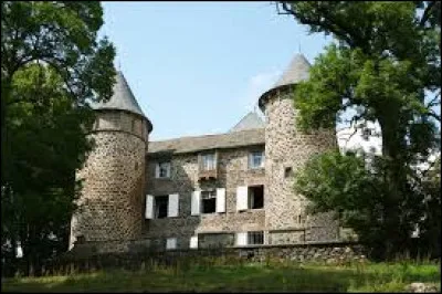 Je vous emm&egrave;ne en Auvergne-Rh&ocirc;ne-Alpes, au ch&acirc;teau de Chavagnac. Petit village de 88 habitants, dans l'arrondissement de Saint-Flour, il se situe dans le d&eacute;partement ...