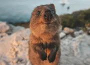 Quiz Culture g�n�rale en 15 questions