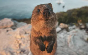 Quiz Culture g�n�rale