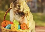 Test Quel �l�ment de P�ques es-tu ?