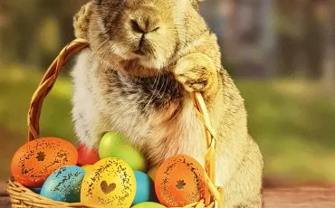 Quiz Test de personnalit�