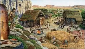 Compl&egrave;te : "Au N&eacute;olithique, les humains commencent &agrave; fabriquer des outils en pierre polie, d'o&ugrave; le nom "&acirc;ge de la pierre nouvelle" donn&eacute; &agrave; cette p&eacute;riode. D'autres mat&eacute;riaux, comme le bois et les os, sont aussi utilis&eacute;s pour fabriquer des ...... de plus en plus &eacute;labor&eacute;s. L'(ou la) ........... et l'....... am&egrave;nent la cr&eacute;ation de nouveaux besoins des humains s&eacute;dentaires."