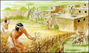 De quand date le d&eacute;but de la s&eacute;dentarisation ?