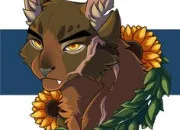 Quiz De quel grade est ce chat ?