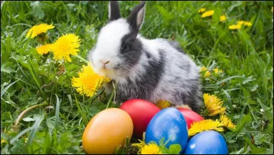 Quel est le pays d�Europe centrale d'origine du lapin de P&acirc;ques ?