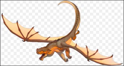 O&ugrave; habitent les Ailes de Boue ?