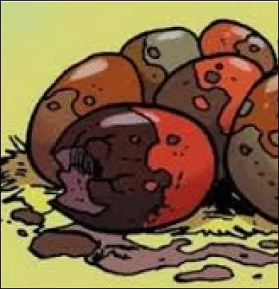 Pour la premi&egrave;re proph&eacute;tie, &agrave; quelle esp&egrave;ce appartient chaque �uf ?