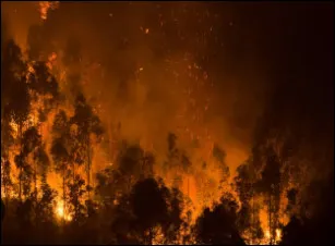 Le Grand Incendie a &eacute;t&eacute; provoqu&eacute; &agrave; cause :
