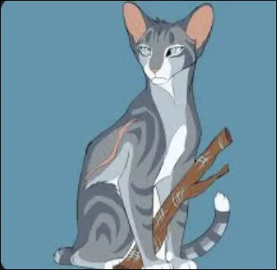 Pourquoi a-t-elle &eacute;t&eacute; choisie pour &ecirc;tre l'apprentie de C�ur Blanc ?