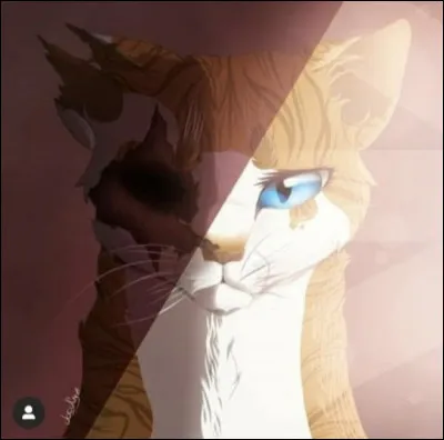 Comment meurt-elle ?