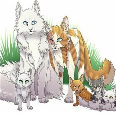 Combien de port&eacute;es a-t-elle eues ?