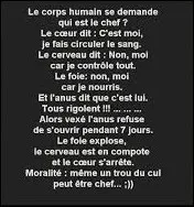 Quel organe pompe le sang dans le corps ?