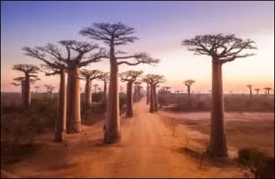 Laquelle de ces &icirc;les est un &eacute;tat ind&eacute;pendant ?