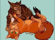 Test Qui es-tu entre Pelage de Granit, Plume de Faucon, Poil d'�cureuil et Griffe de Ronce ?