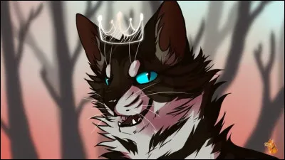 Quel r&ocirc;le veux-tu dans un clan ?