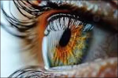 De quelle couleur sont tes vrais yeux ? (2)